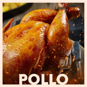 Pollo